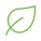 The icon of leaf.